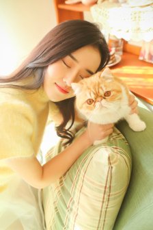 高清无码